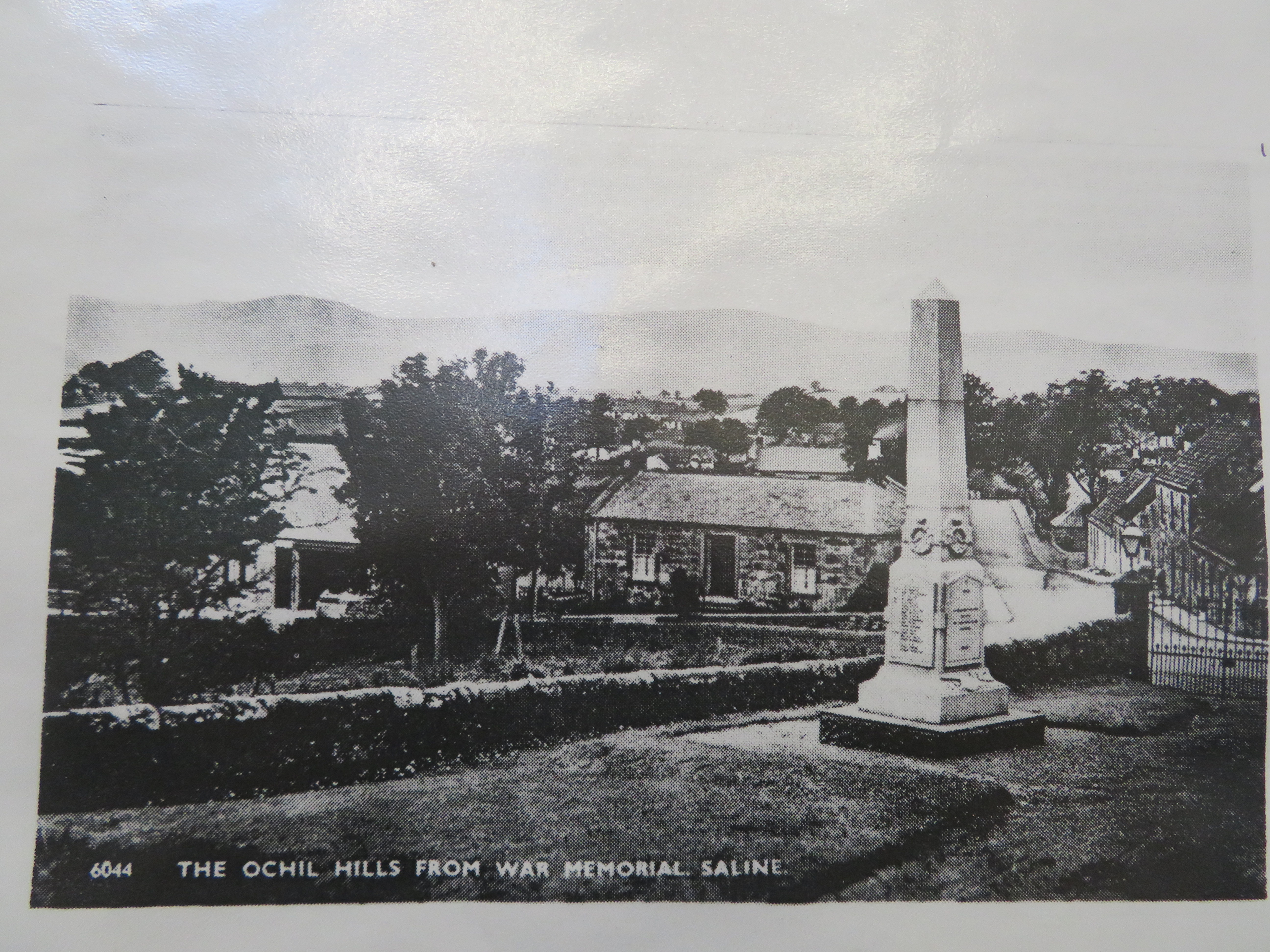 Old Saline & Steelend 31